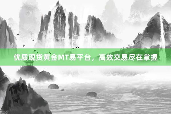 优质现货黄金MT易平台，高效交易尽在掌握